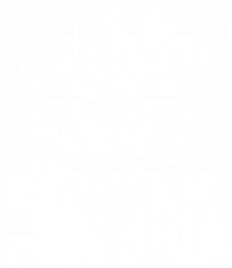 IMG Logo UoCumbria opse 1