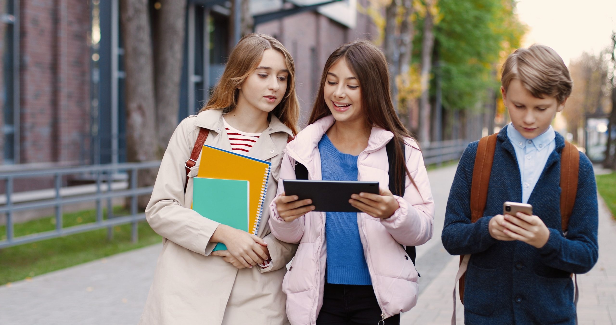 Adaptive Language Testing in English Language Placement for Under-16s 