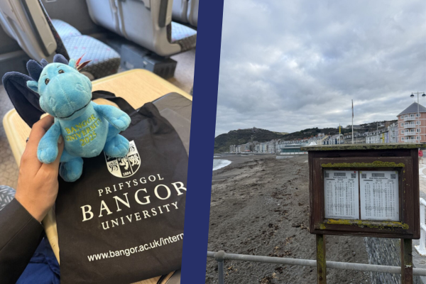 On the Road with OIDI 